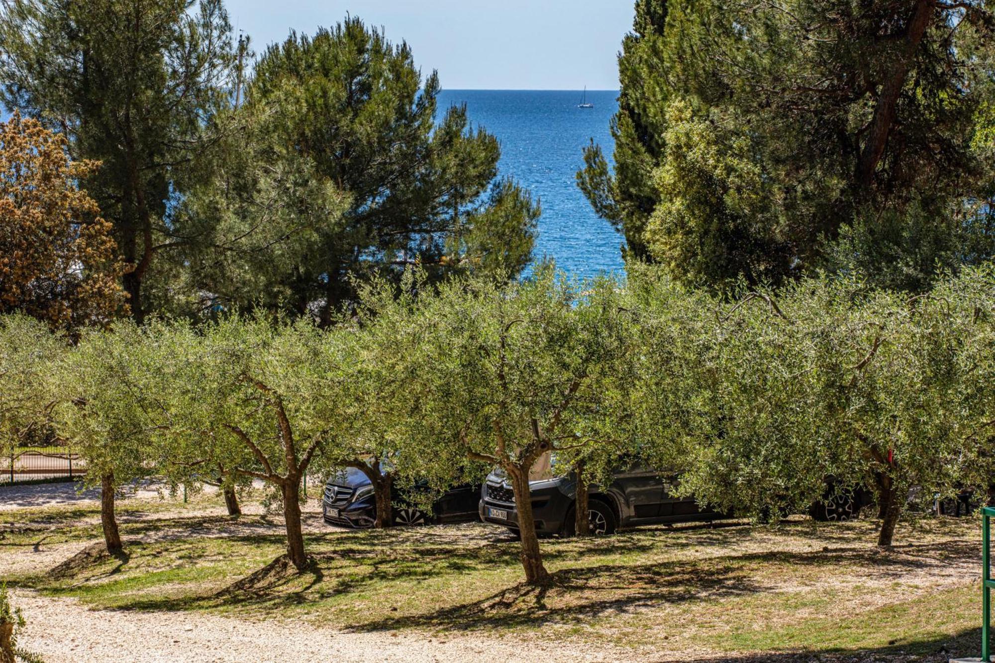 Campingplatz Porton Nature Hideouts Pitches Rovinj